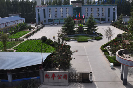 时博球赛 时博球赛