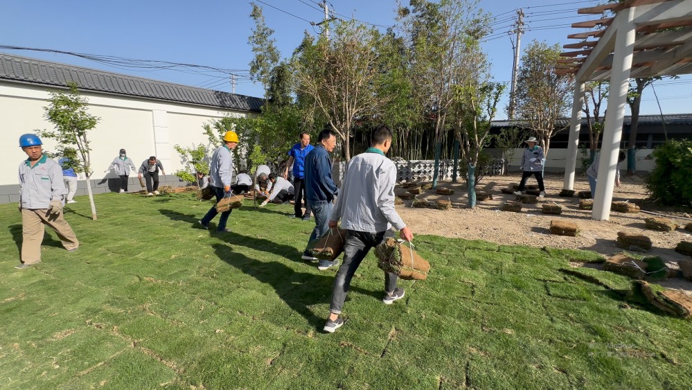 图二.jpg 图二.jpg