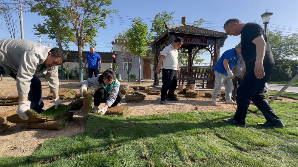 图三.jpg 图三.jpg